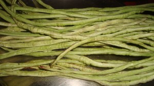 Yardlong beans