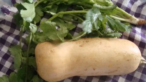 Butternut squash