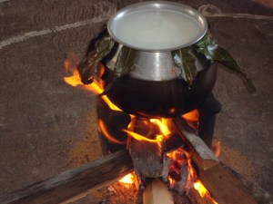 Milk boiling for pongal