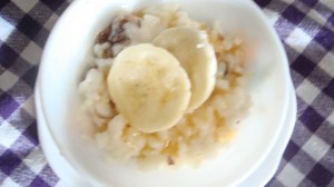 Yoghurt rice